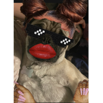 ilovearianagrande