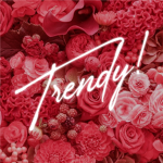 Trendy! Clothing Store