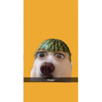 CrypticCaptain