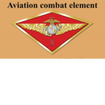 Aviation combat element [USAF]