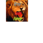 Grey Lion Task Force (GLTF)