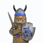 Neko United