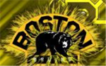 boston bruins
