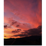 Paypay sunset