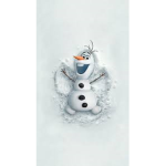 Snow land ice