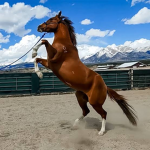 You’ll find your horse soon