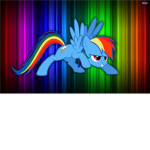 rainbow dash fan club!!!!