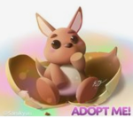 •~Adopt me Fans~•