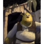 The Shrek Baby’s