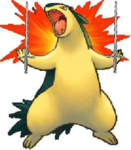 Typhlosion Warriors