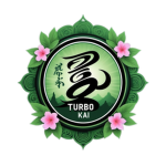 Turbo Kai