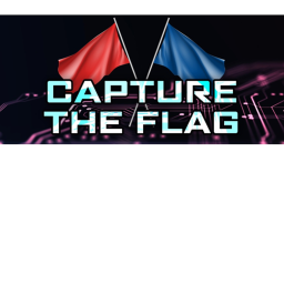 CAPTURE THE FLAG(NEW)