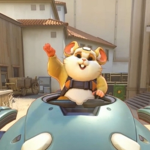 햄찌