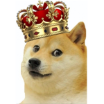 Fighting_doge