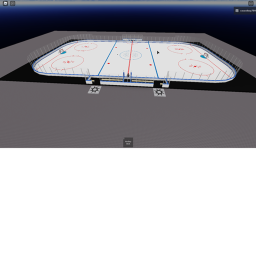 Hockey rink