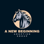 A New Beginning Adoption Group
