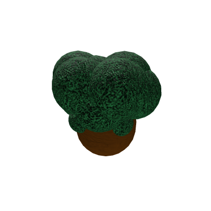Mr. Oak Egg