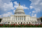 Congress Roleplay