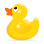 A group for Ducks