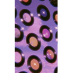 xXAvaVillas
