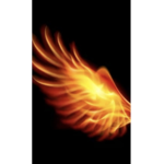 Wing on fire