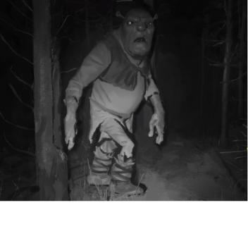 Vc [Only] Social Hangout