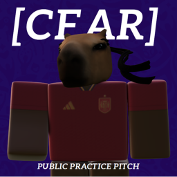 [CFAR] Public Practice Pitch