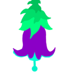 The Zooxpire