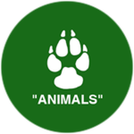 Completed Animal Quiz