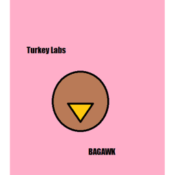 Turkey Labs