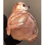 Aesthetic_jackie