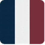 L'infanterie de la Grande Français