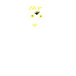 Mr yellow family