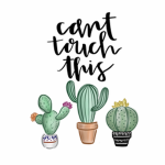 Native Cacti