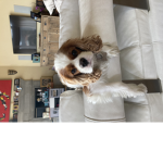 GoodDoggo