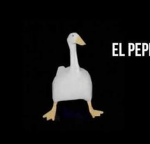Mattivas