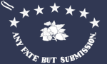 3. Florida Infantry Regiment.