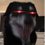 DOGG Productions