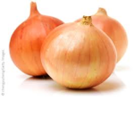 Onion Cult Offical