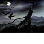 The Dark Age Pirates