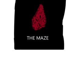 THE MAZE