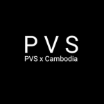 PVS Studio