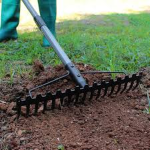The Garden Tools.
