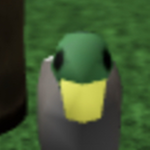 Johncheese