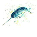 The Real Narwhal Squad