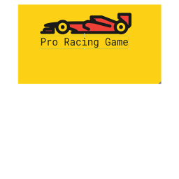 Pro Racing Game