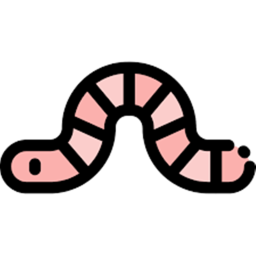 Earthworm Street!