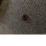 POOP IS THE BEST BY: RobertnDad