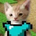 Seguidores King!