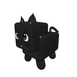 Black Cat